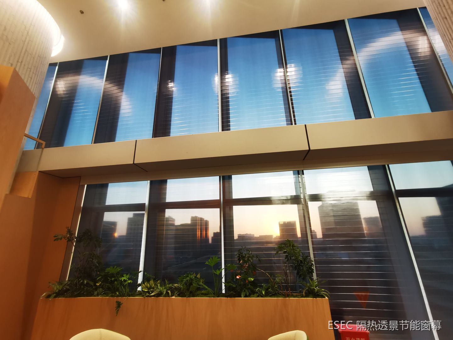 辉瑞上海办公室挑空中庭双层幕墙窗幕完工实景