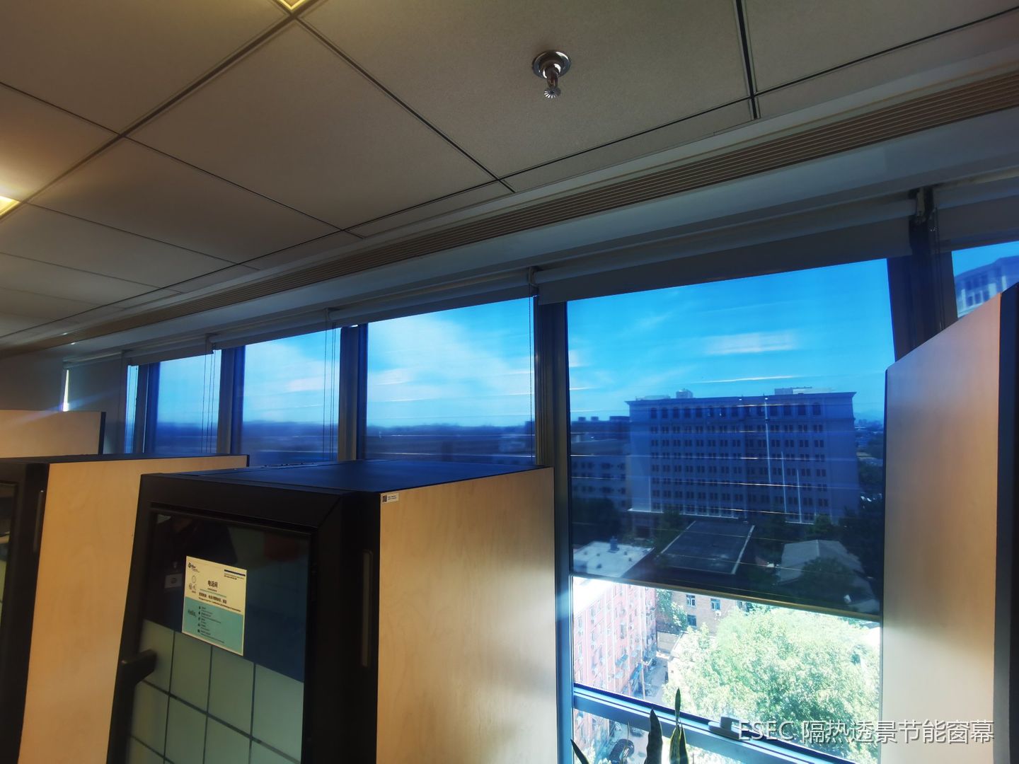 辉瑞上海办公室窗幕完工实景