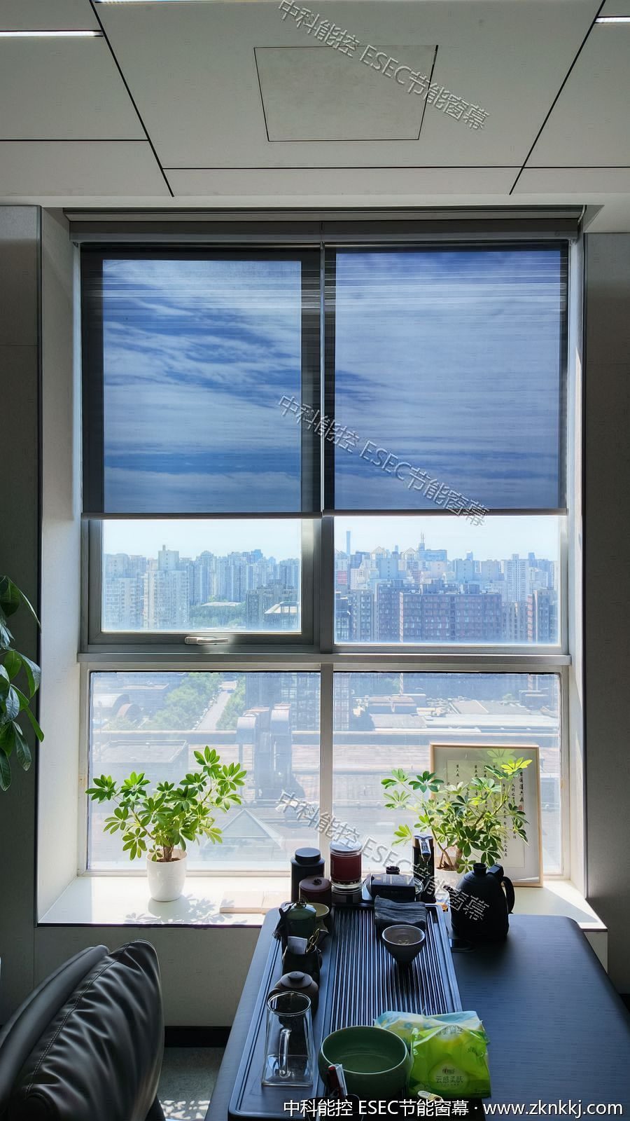 Tea room, half-lowered · soft, glare-free sunlight