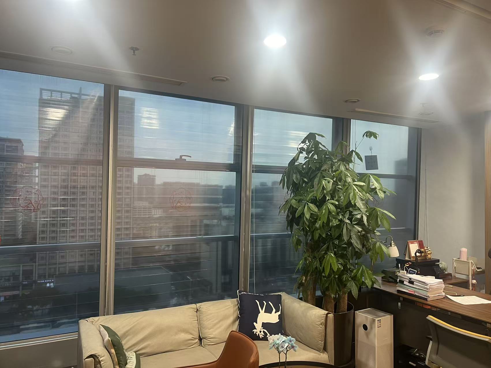 ESEC curtain shades the sun while keeping the room bright; street view clearly visible