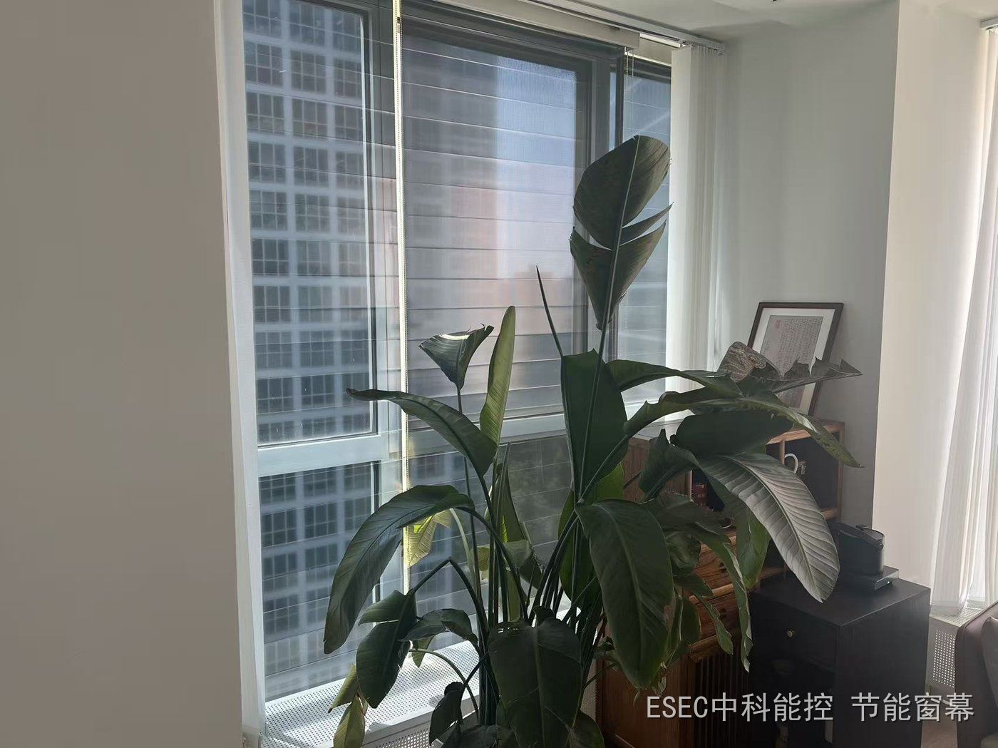 ESEC 节能窗幕加装后明亮通透的办公环境